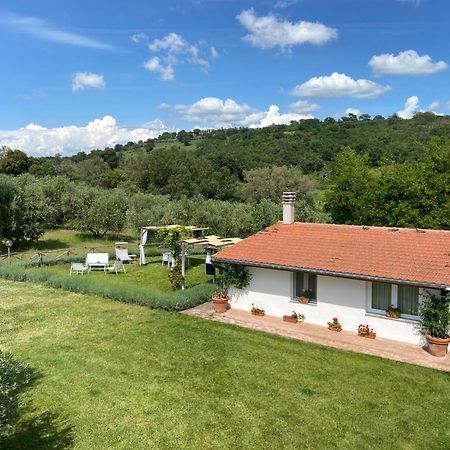 Tenuta Le Mandorlaie, Agriturismo In Скансано Екстер'єр фото