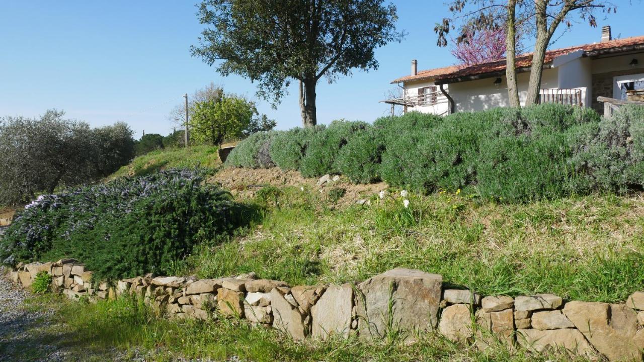 Tenuta Le Mandorlaie, Agriturismo In Скансано Екстер'єр фото