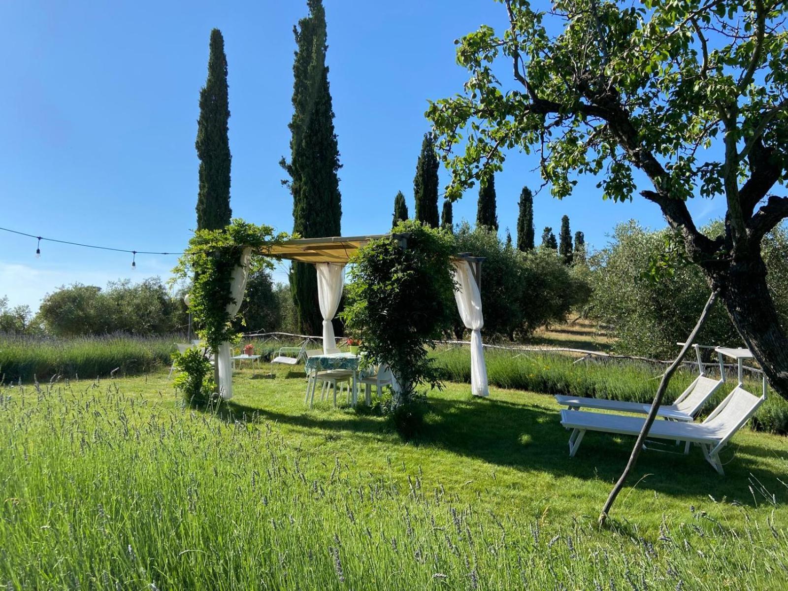 Tenuta Le Mandorlaie, Agriturismo In Скансано Екстер'єр фото