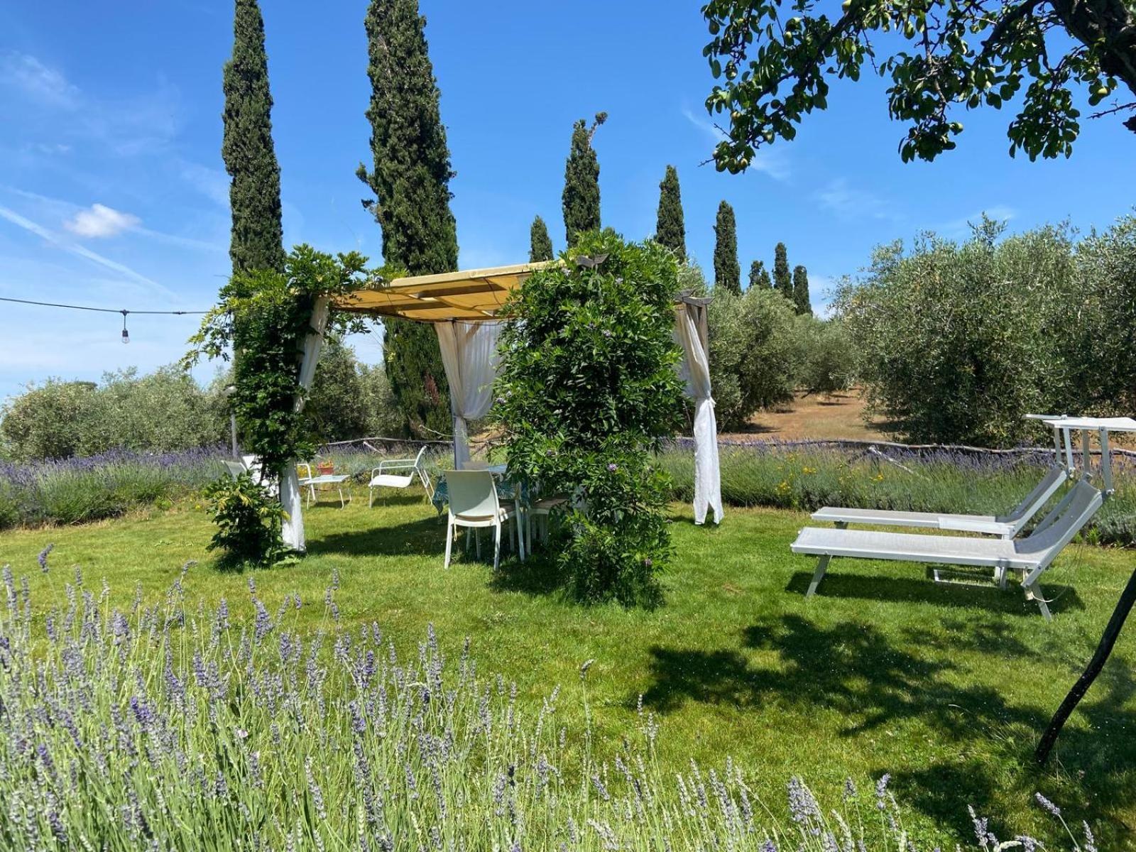 Tenuta Le Mandorlaie, Agriturismo In Скансано Екстер'єр фото