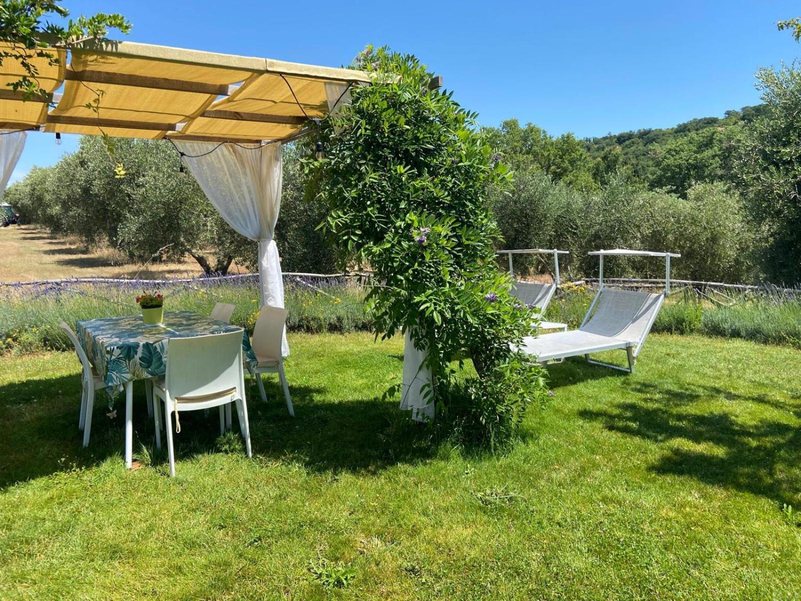 Tenuta Le Mandorlaie, Agriturismo In Скансано Екстер'єр фото